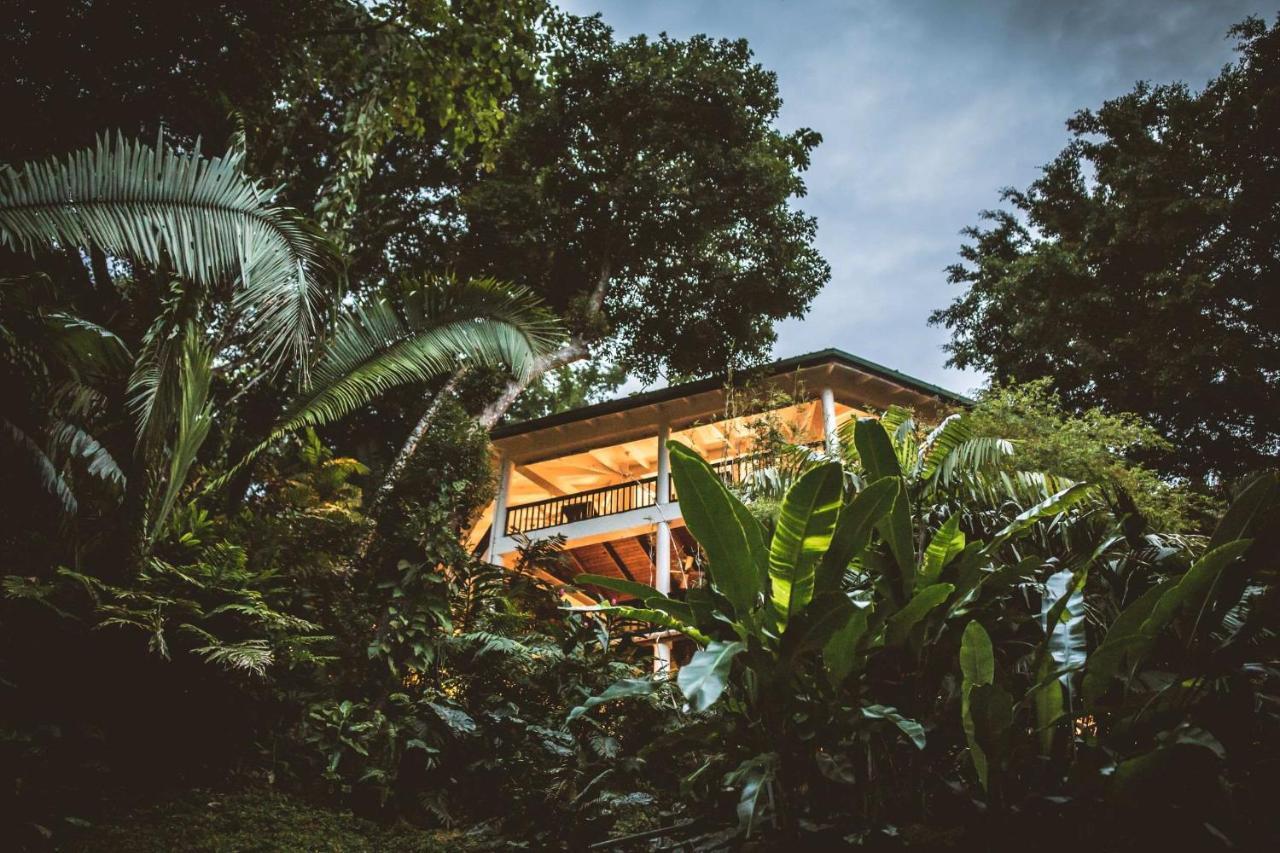 Copal Tree Lodge A Muy'Ono Resort Toledo District Exterior foto